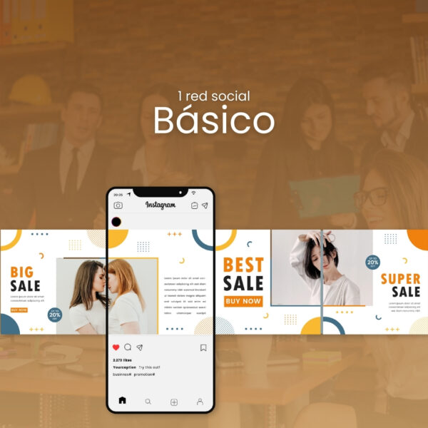 Plan Básico